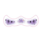 Cross Star Face Tattoo