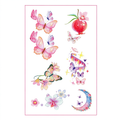 Watercolor Pomegranate Galaxy Moon Butterfly Tattoo Stickers