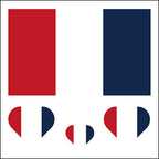 France Flag Face Tattoos