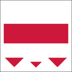Poland Flag Face Tattoos