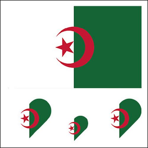 Algeria Flag Heart Face Tattoos