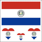 Paraguay Flag Heart Face Tattoos