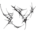 Splash Web Tattoo Halloween Decal