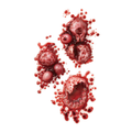 Halloween Bloody Organ Tattoo Stickers