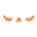 Halloween Orange Star Blush Tattoo Stickers