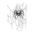 Web Spider Halloween Tattoo