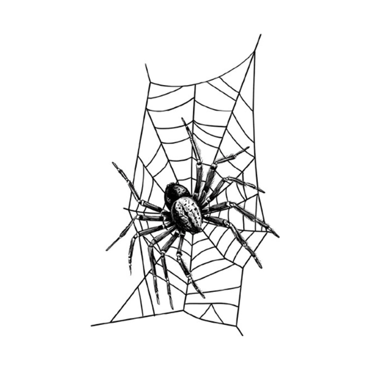 Sketch Spider Halloween Tattoo