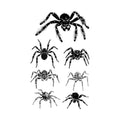 Multi Spiders Halloween Tattoo
