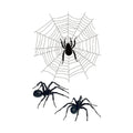 Round Web Spider Halloween Tattoo