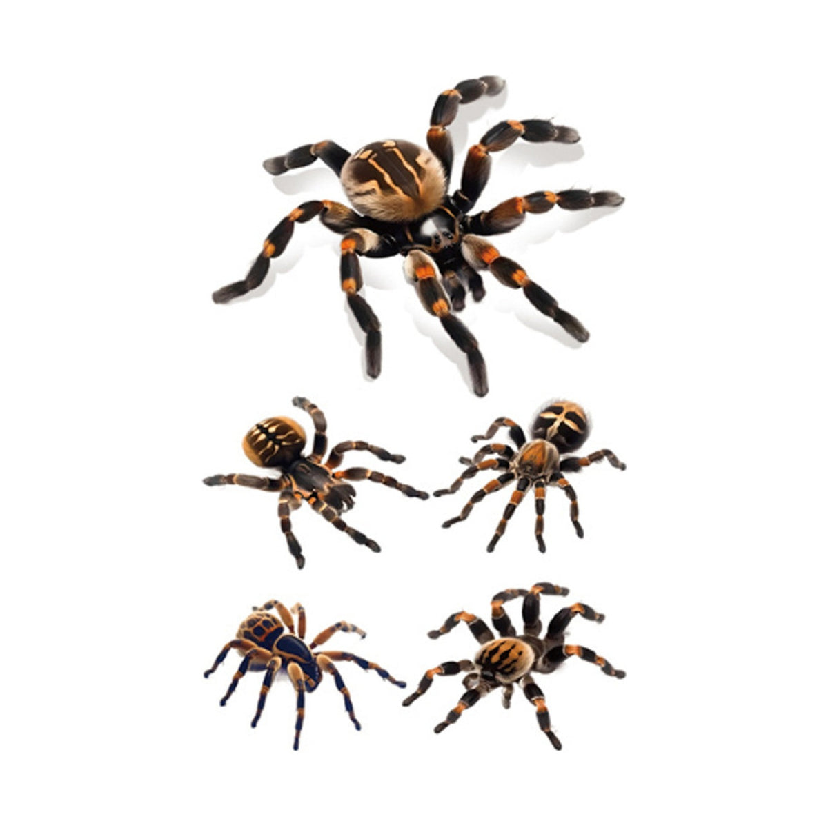 Striped Tarantula Halloween Tattoo