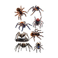 Mixed Tarantula Halloween Tattoo