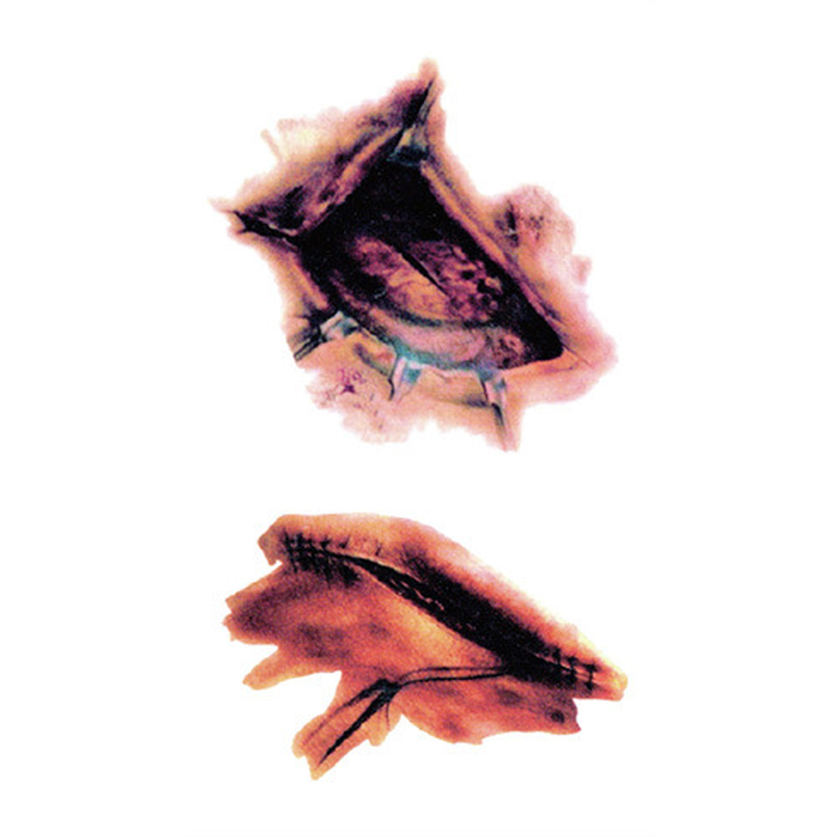 Ripped Open Wound Tattoo