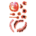Burst Flesh Tattoo