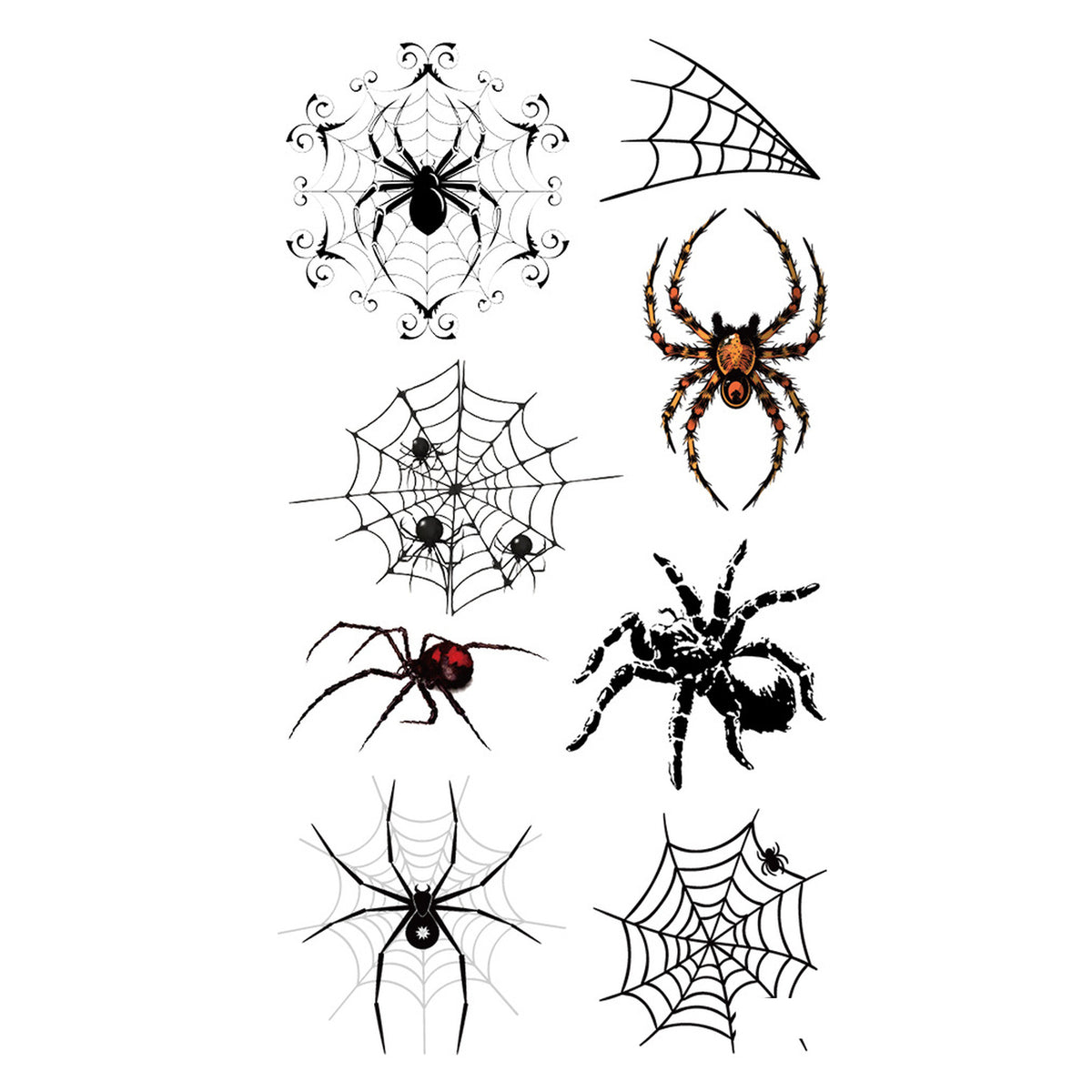 Ornate Frame Spider Tattoo