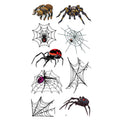 Color Tarantula Spider Tattoo