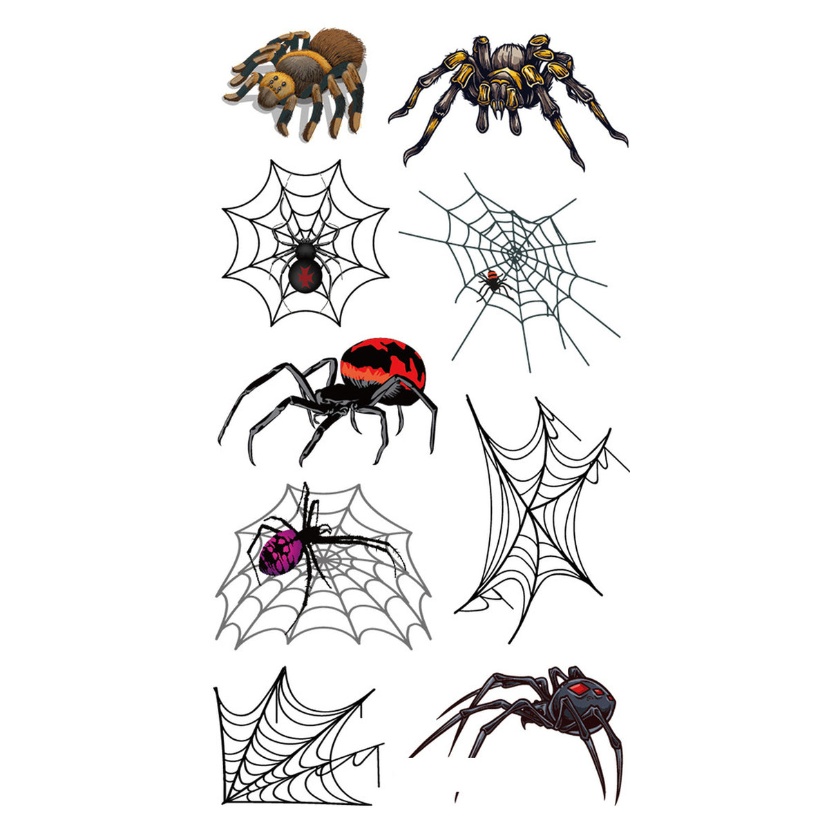 Color Tarantula Spider Tattoo