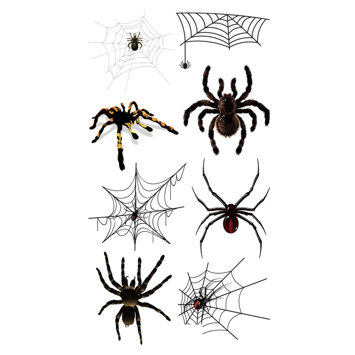 Hairy Tarantula Spider Tattoo