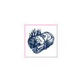 Flame Cash Roll Temporary Tattoos