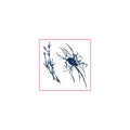 Spider Thorn Temporary Tattoos