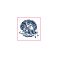 Seashell Pearl Butterfly Temporary Tattoos
