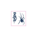 Chained Rose & Spider Temporary Tattoos
