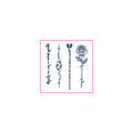 Quote Script Rose Temporary Tattoos
